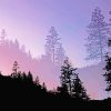 Yosemite Valley Trees Silhouette Paint By Numbers