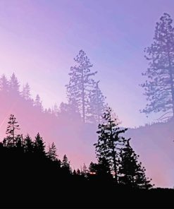 Yosemite Valley Trees Silhouette Paint By Numbers