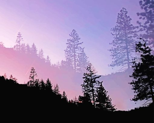 Yosemite Valley Trees Silhouette Paint By Numbers