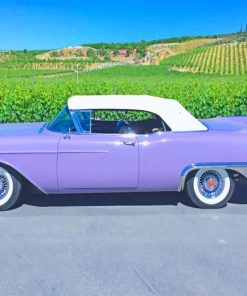 Antique Purple Car Paint By Numbers