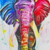 Colorful Elephant Art Paint By Numbers