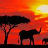 Elephants Silhouette Paint By Numbers