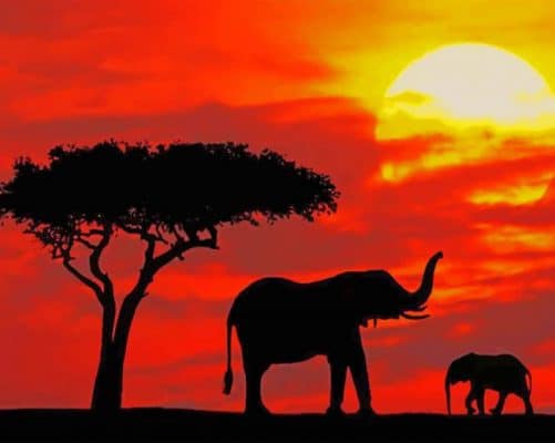 Elephants Silhouette Paint By Numbers