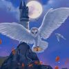 Harry Potter Hedwig Art Paint By Numbers