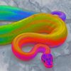 Rainbow Python Snake Paint By Numbers