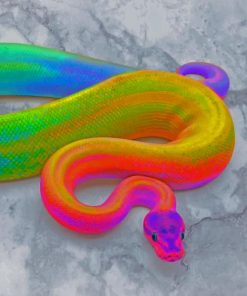 Rainbow Python Snake Paint By Numbers