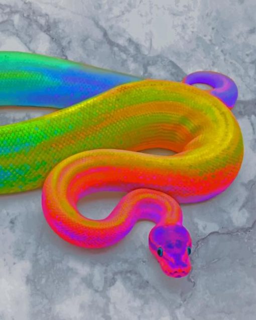 Rainbow Python Snake Paint By Numbers