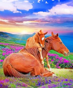 Horses In Nature paint by numbers