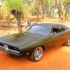 1969 Dodge Charger Matte Black Paint By Numbers