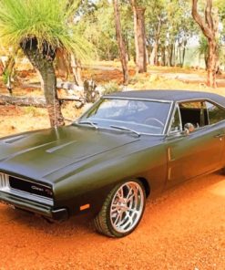 1969 Dodge Charger Matte Black Paint By Numbers