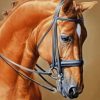 Brown Horse Art Paint By Numbers