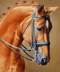 Brown Horse Art Paint By Numbers