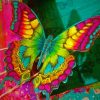 Colorful Rainbow Butterfly Paint By Numbers