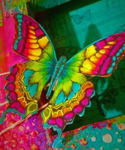 Colorful Rainbow Butterfly Paint By Numbers