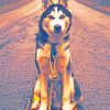 Siberian Husky In Road paint by numbers