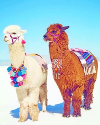 Stylish Alpacas paint by numbers