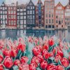 Flowers And Buildings Amsterdam paint by numbers