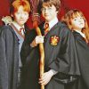 Harry Potter Ron Hermione Paint By Numbers