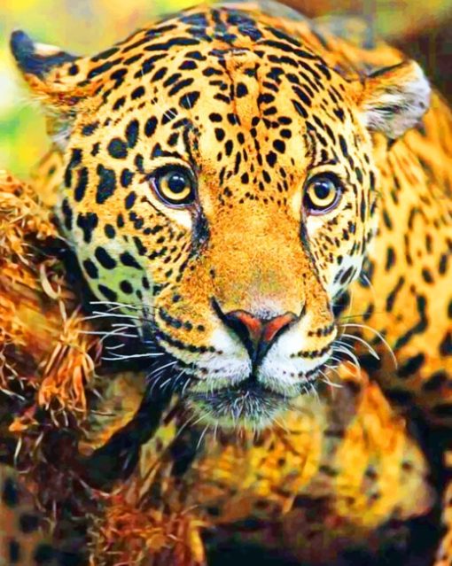 Jaguar paint by numbers