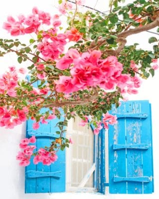 Mykonos Greece Pink Flowers paint by numbers