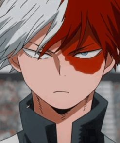 Shoto Todoroki Anime Paint by numbers