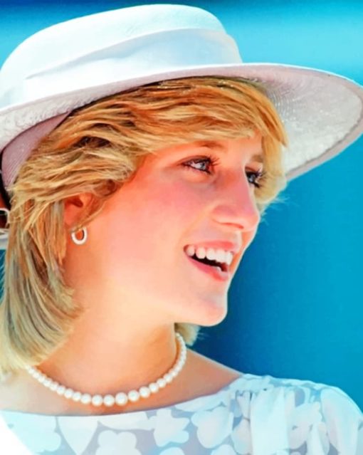 The Beautiful Lady Diana paint by numbers