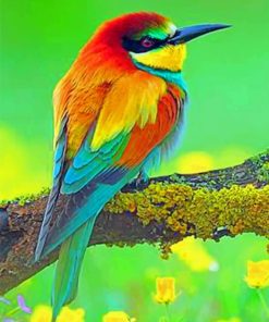 Colorful Bird Paint by numbers