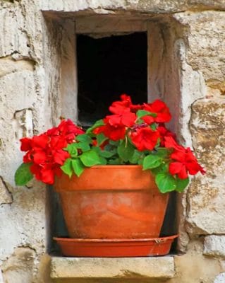 Vintage Red Flowers Paint by numbers