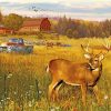 Deer In Farm Field paint by numbers