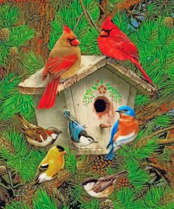 Bird House paint by numbers