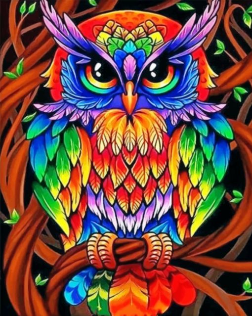 Colorful Owl paint by numbers