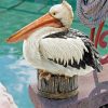 Great White Pelican paint by numbers