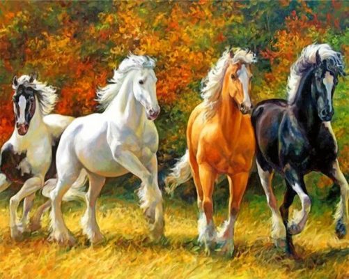 Running Horses Paint by numbers