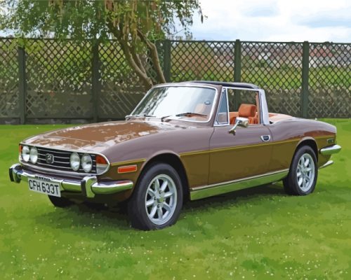 brown-triumph-stag-paint-by-numbers