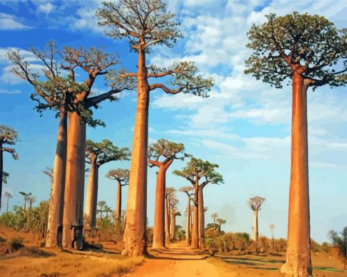 Alley Of The Baobabs Paint by numbers