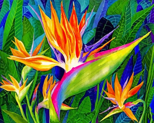 Bird Of Paradise Art Paint by numbers