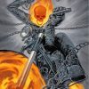 Ghost Rider With Bike Paint by numbers