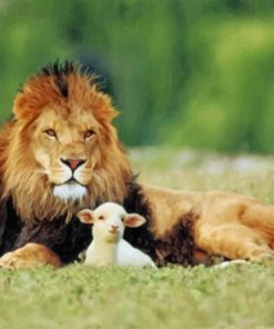 Lion And The Lamb