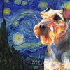 Starry Night Wirehaired Pointing Griffon Paint by numbers