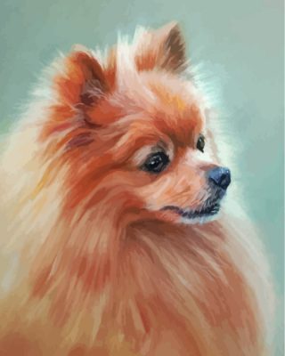 aesthetic-pomeranian-dog-paint-by-numbers