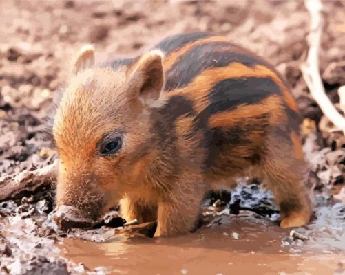 cute-baby-boar-paint-by-number