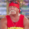 hulk-hogan-paint-by-number