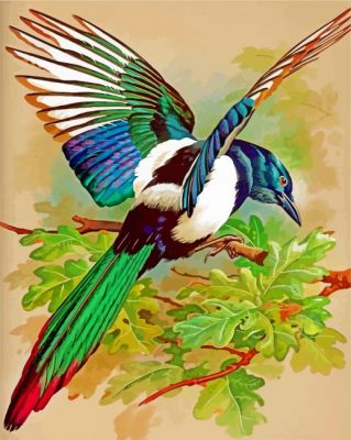 Magpie Bird Paint by numbers