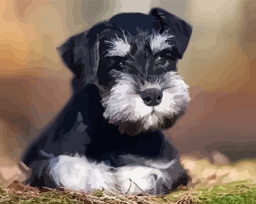 Schnauzer Pet