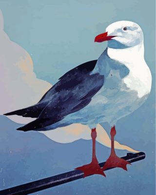 seagull-bird-paint-by-numbers