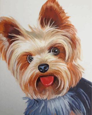 Yorkshire Terrier Dog Paint by numbers