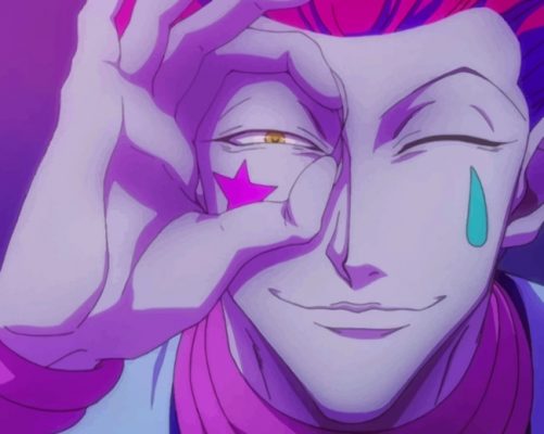 Anime Hunter X Hunter Hisoka paint by numbers