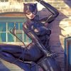 cat woman paint by number