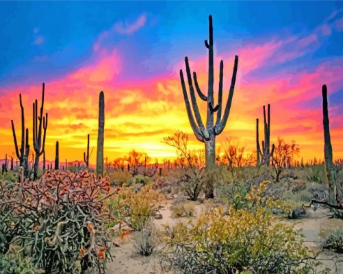 Sunset Saguaro National Park Tucson paint by numbers