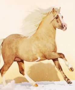 Beige Welsh Pony Paint By Numbers